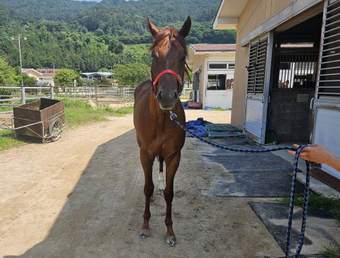 대성골드 사진