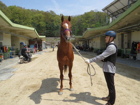 제이디강자 사진