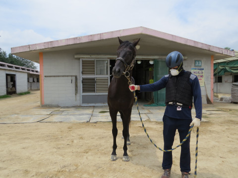 킹스파이시 사진