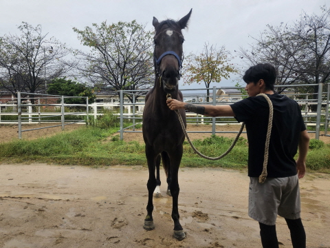 와일드점프 사진