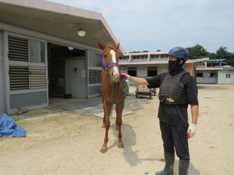 위즈드림 사진