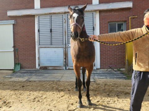 유림찬가 사진
