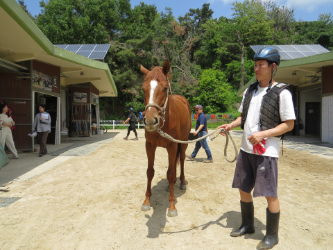 파이브스타 사진
