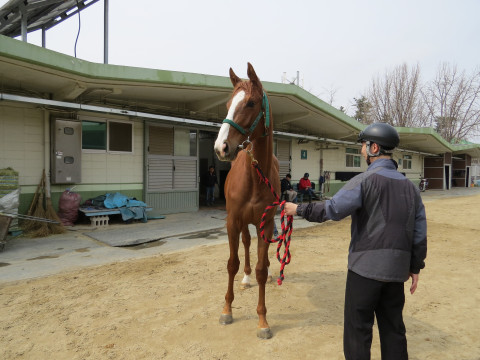 세라드 사진