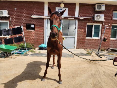 그랜드라인 사진