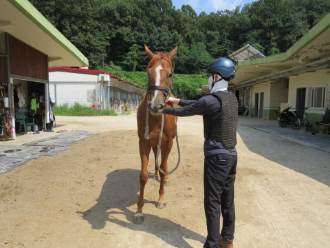크레이지챔프 사진