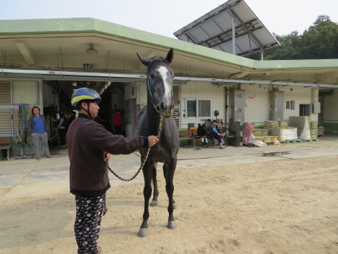 누리여왕 사진