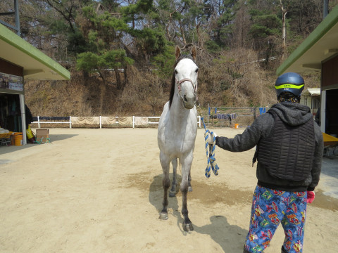 피엔에스마운 사진