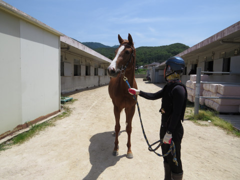 이클립스서니 사진