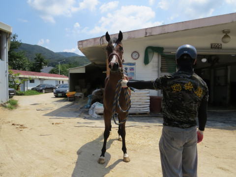 위시마스터 사진