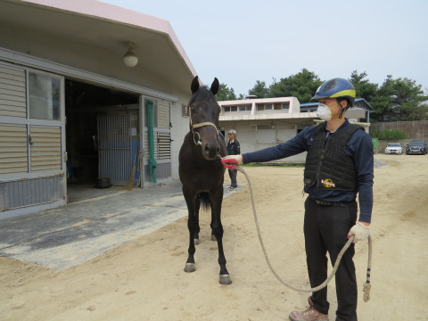 대한파워 사진