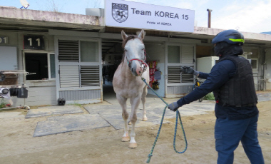 세이버스 사진