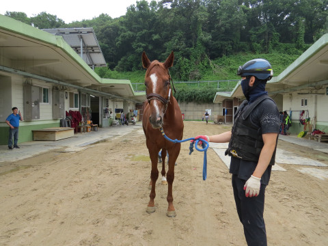 그레이스데이 사진