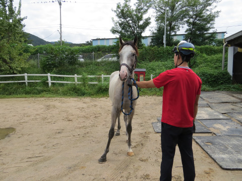 다이내믹포스 사진