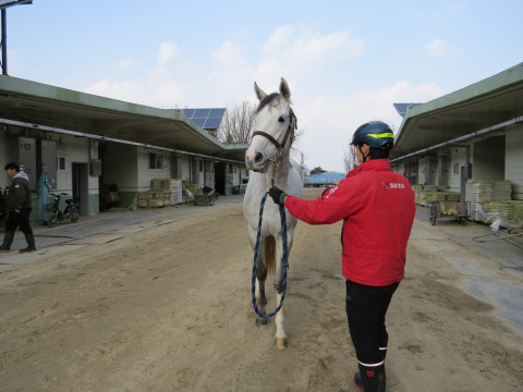 퀸즈타이거 사진