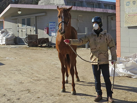 최고게임 사진