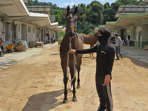 페어스카이즈 사진