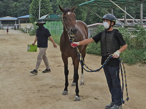 터보삭스 사진