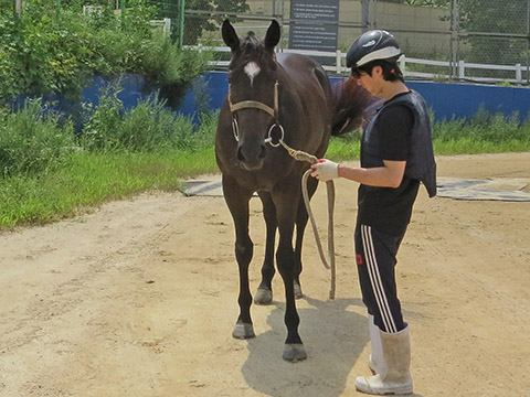 이스트점프 사진
