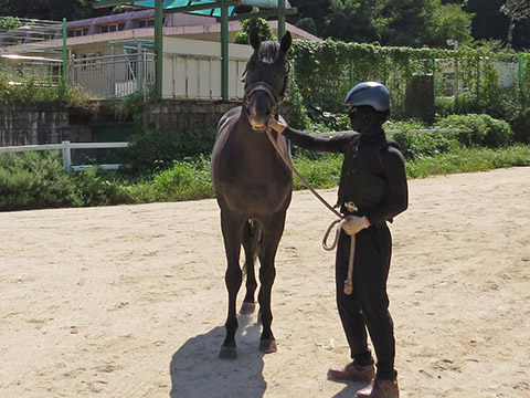 정성팩터 사진