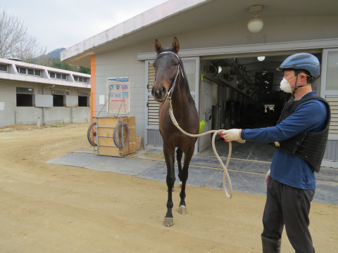 마이티비트 사진