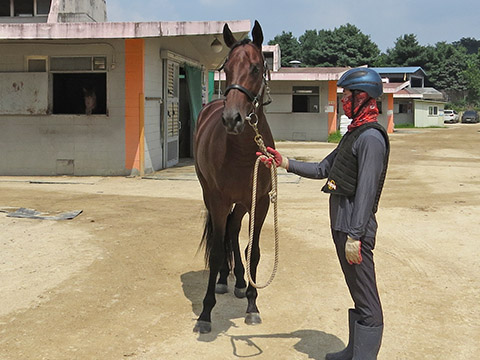 파워군주 사진