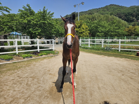 오아시스영 사진