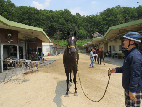 골드아이디 사진