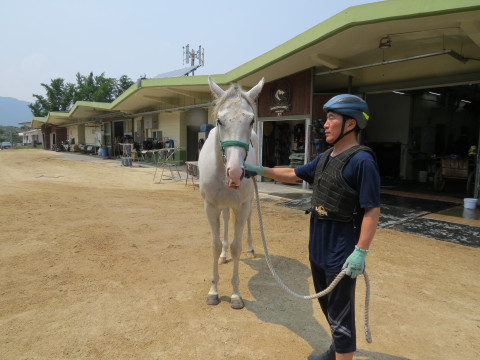 은빛유혹 사진