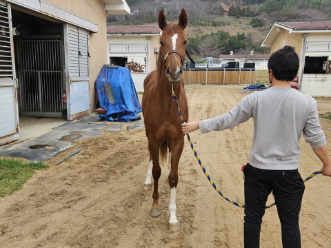희망로기 사진