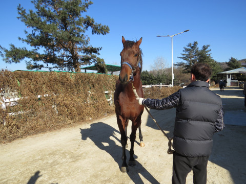군주민수 사진