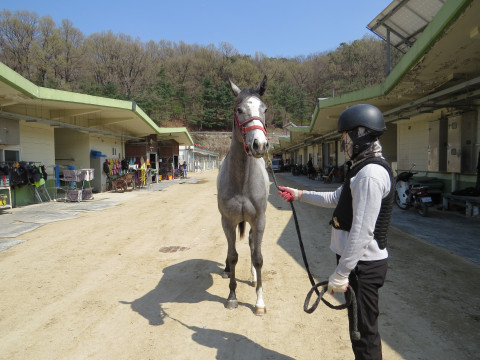 용비교 사진