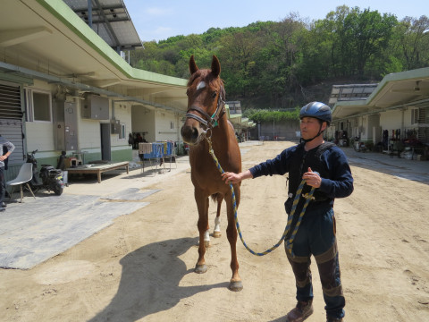 화려한유산 사진