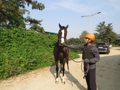 누리퀸즈 사진