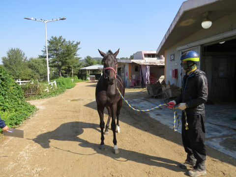 영동신화 사진