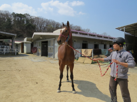 럭키조이 사진