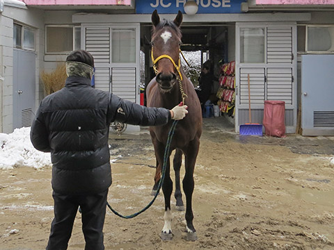 엘도라도해남 사진