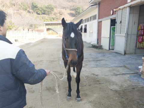 로드투윈 사진