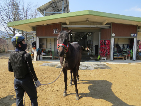 위즈캠페인 사진