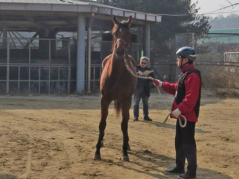 드림아너 사진