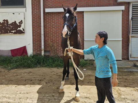 신촌독수리 사진