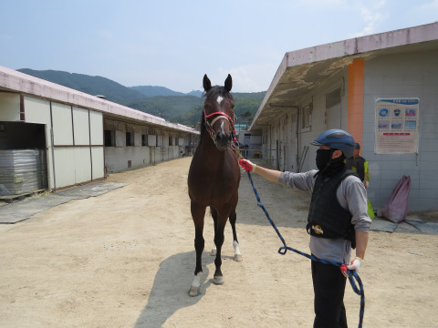 투어킹 사진