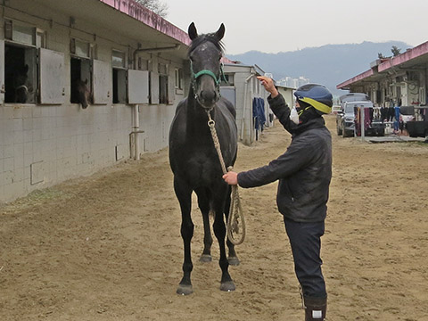 슈퍼선더 사진