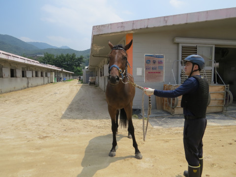 마이티프리 사진