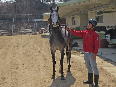 그레이캔디 사진
