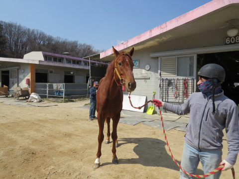 스마일링프린스 사진