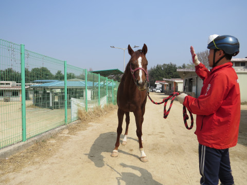 인투더갤럭시 사진