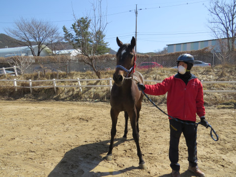 그랜드폭풍 사진