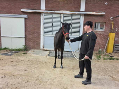 와일드도로 사진
