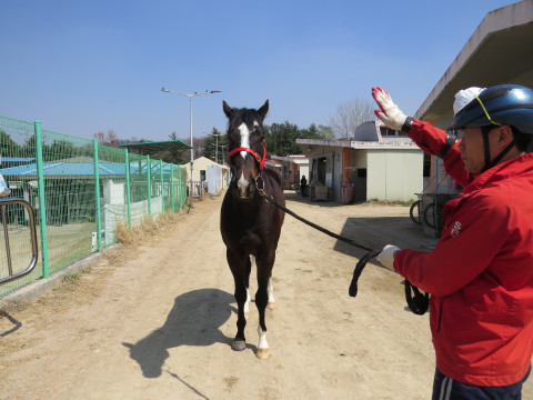 로열호프케이 사진
